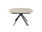 TABLE DE REPAS TERAZZO